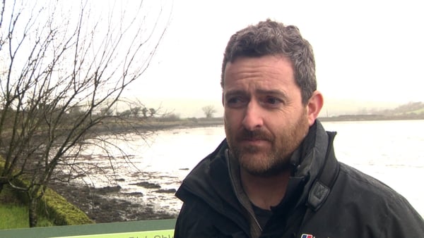 30-year survey records decline in migratory waterbirds in Ireland