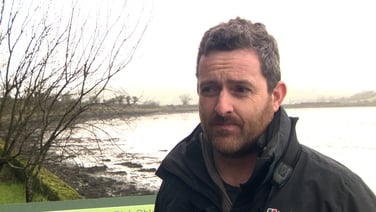 30-year survey records decline in migratory waterbirds in Ireland