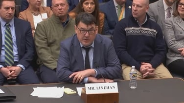 Linehan among critics in US of EU Digital Services Act