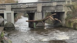 Rainfall at the River Dodder as Dublin under Status Orange rain warning