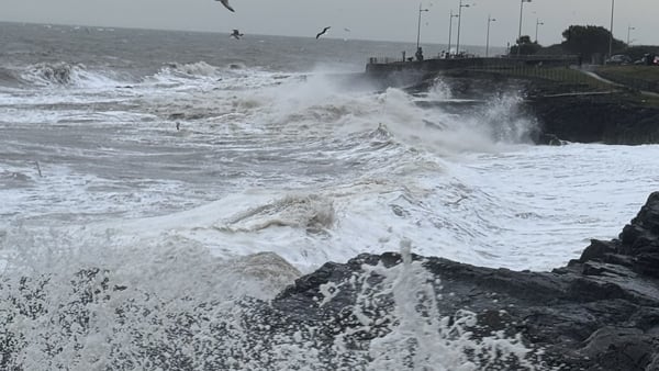 Rough waves in Greystones