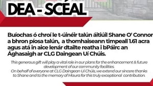 Seán Ó Suilleabháin show image