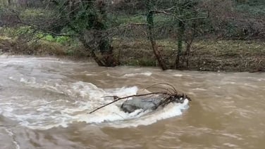 Water level high in the River Dodder in Milltown, Co Dublin