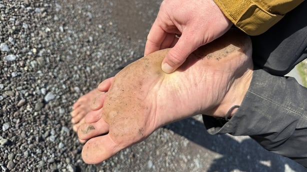 Eamonn Keaveney - pic - RTE