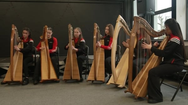 Six Members of Music Generation Laois playing the harp in a line