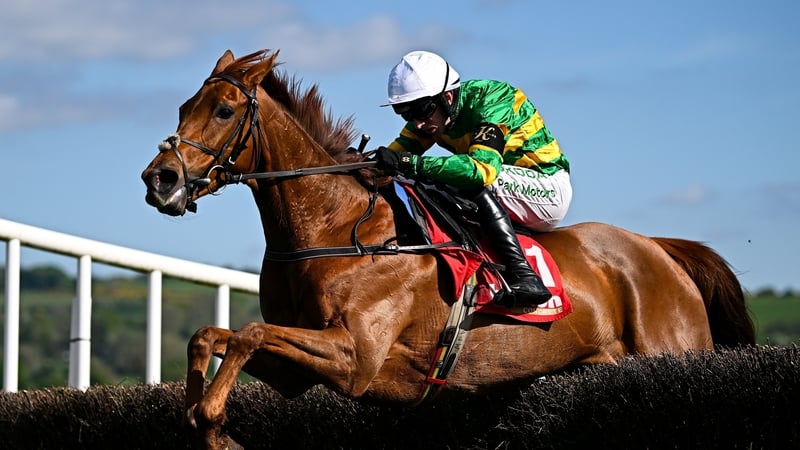 2 May 2025; Dinoblue, with Mark Walsh up, jumps the last on their way to winning the Hanlon Concrete Irish EBF Glencarraig Lady Francis Flood Mares Steeplechase on day four of the Punchestown Festival at Punchestown Racecourse in Kildare. Photo by Seb Dal