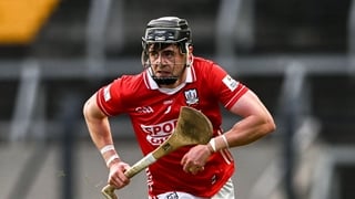 Tipp win doesn't change Munster challenge - Fitzgibbon