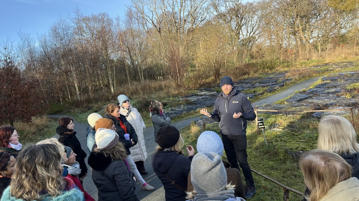 Biophilia at the Bots