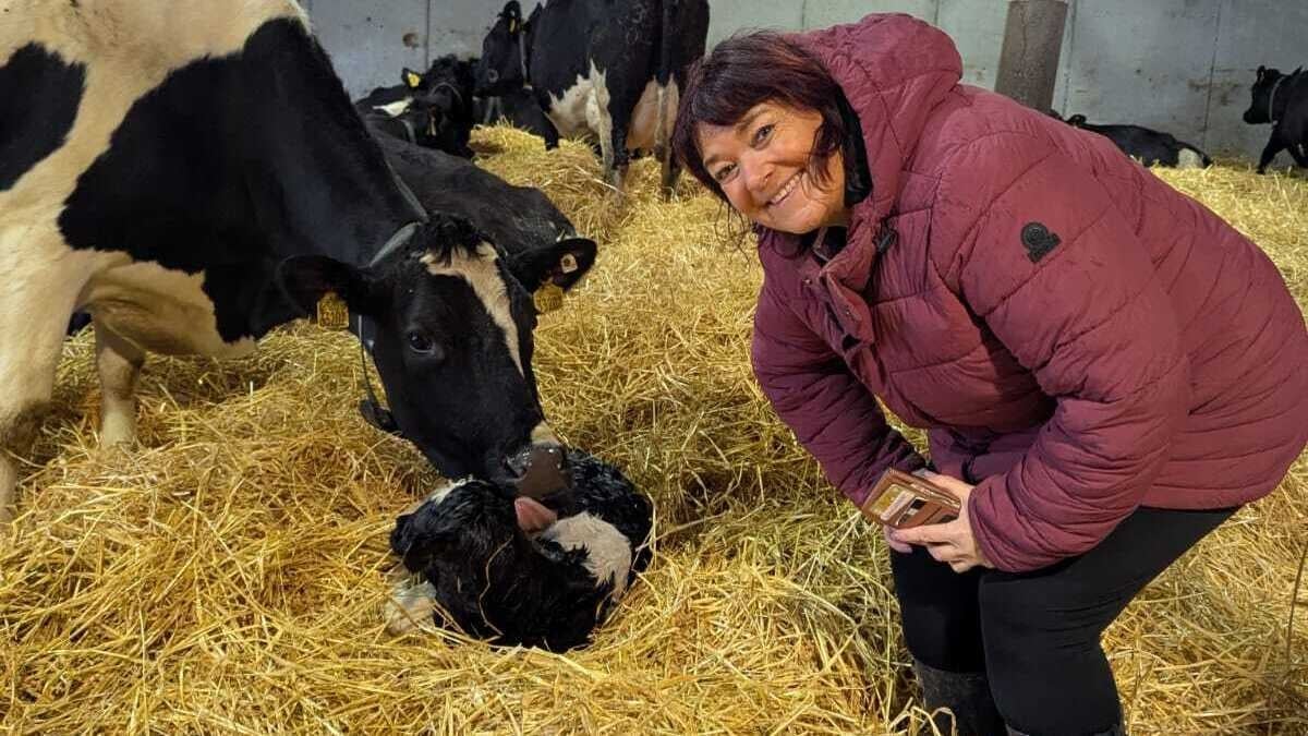 Brenda Donohue reports live from a calving stations