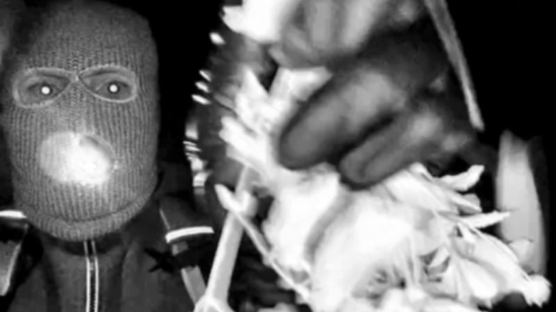 A masked man holding an item captured by a nest cam