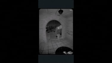 FBI releases footage of masked man at front door of missing TV anchor's mother