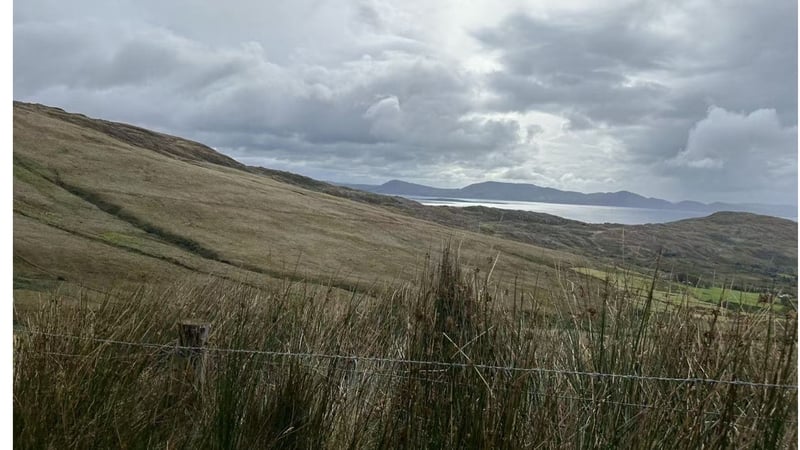 Blanket bog in Killarney National Park