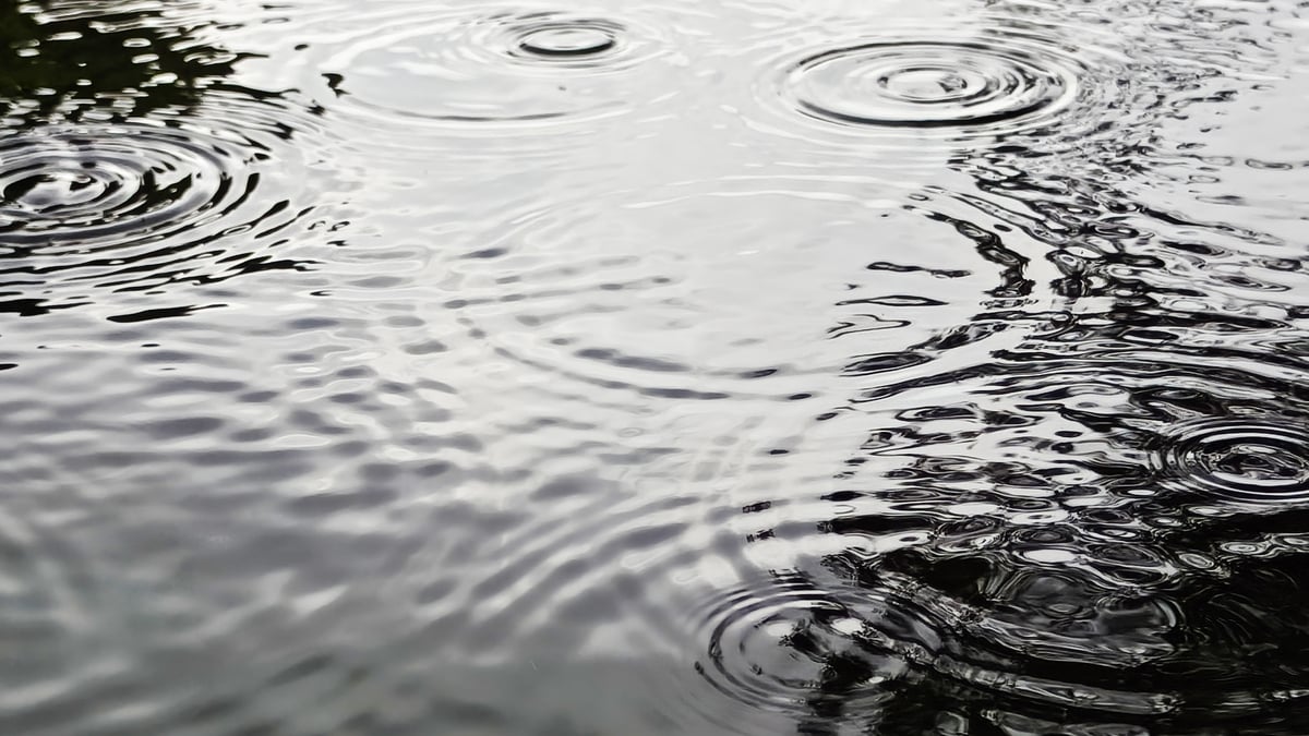 Have You Been Feeling Under The (Extraordinarily Wet) Weather Lately?