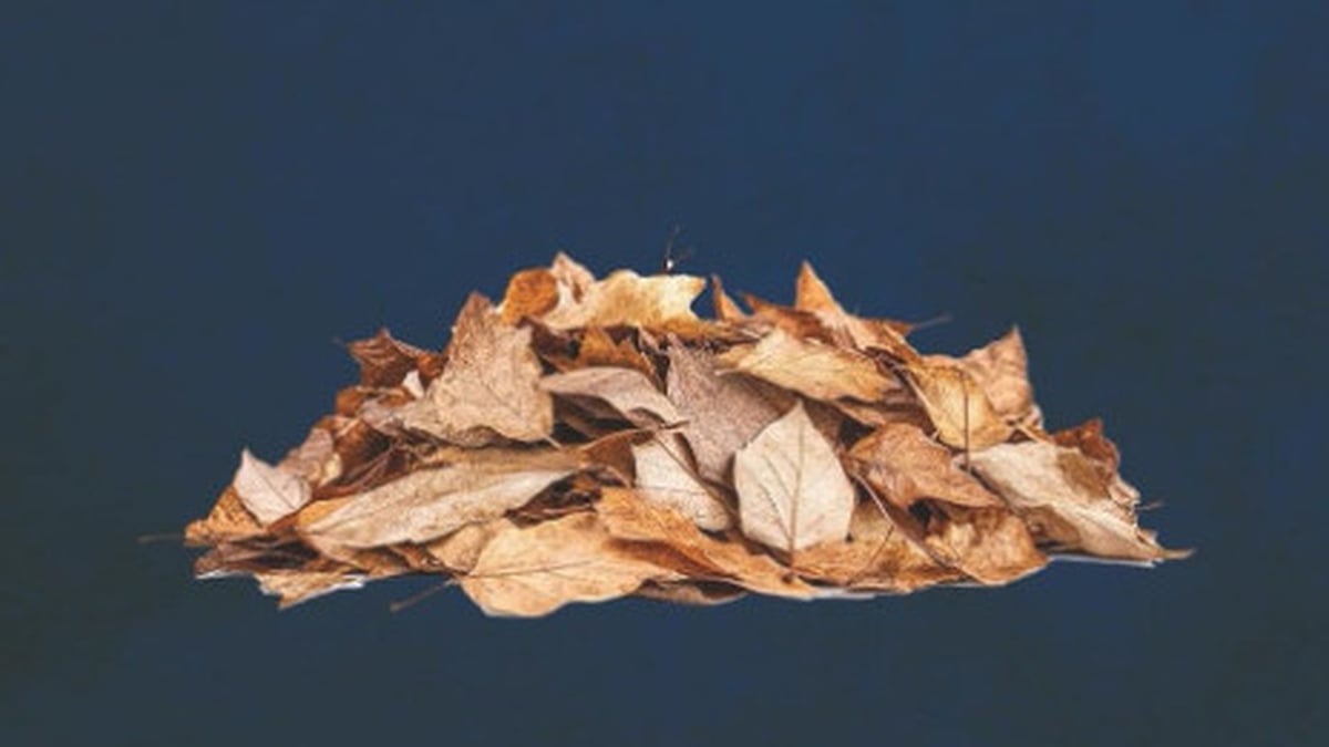 Gardening Leave - Eoin Devereux