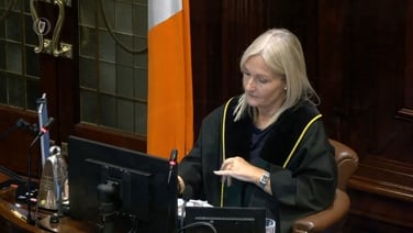 Tánaiste to raise allegations about Ireland in Epstein files with Taoiseach