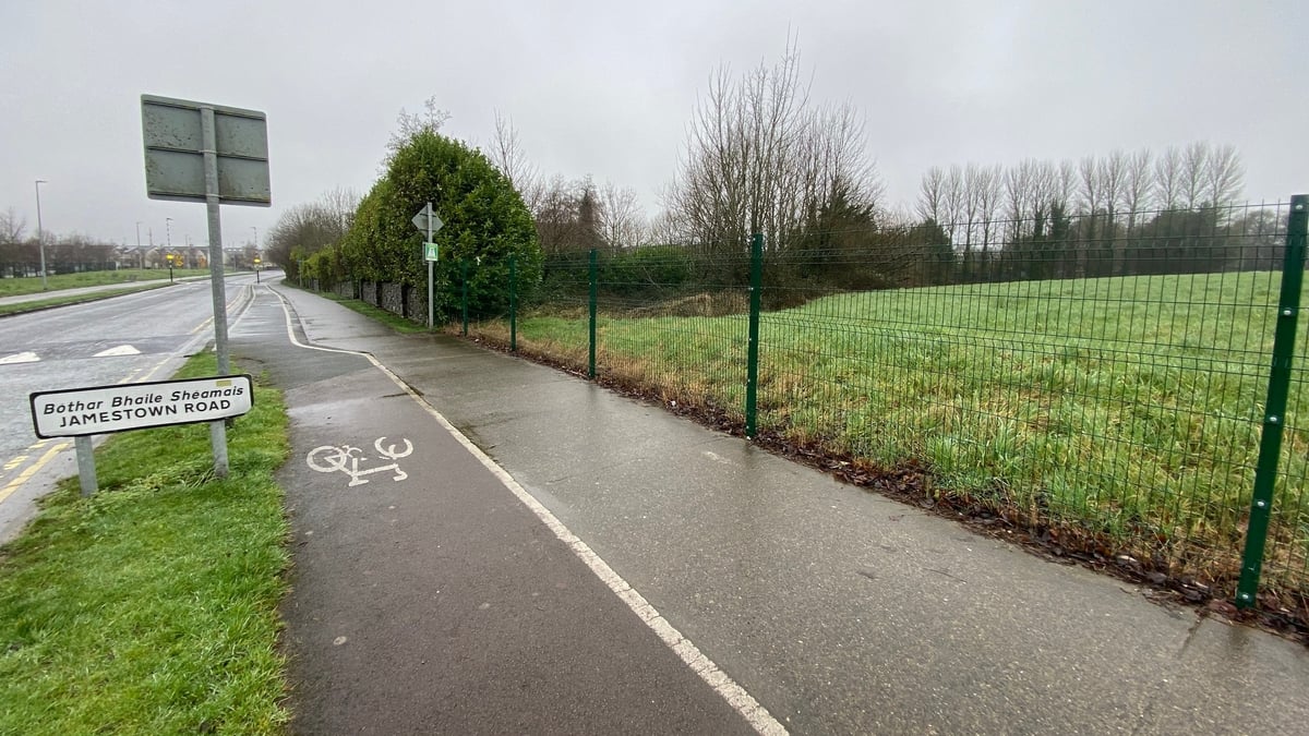 Calls for HSE to 'do something' with vacant Ratoath site