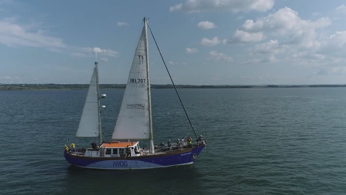 Celtic Mist to set sail on final season with whale and dolphin group