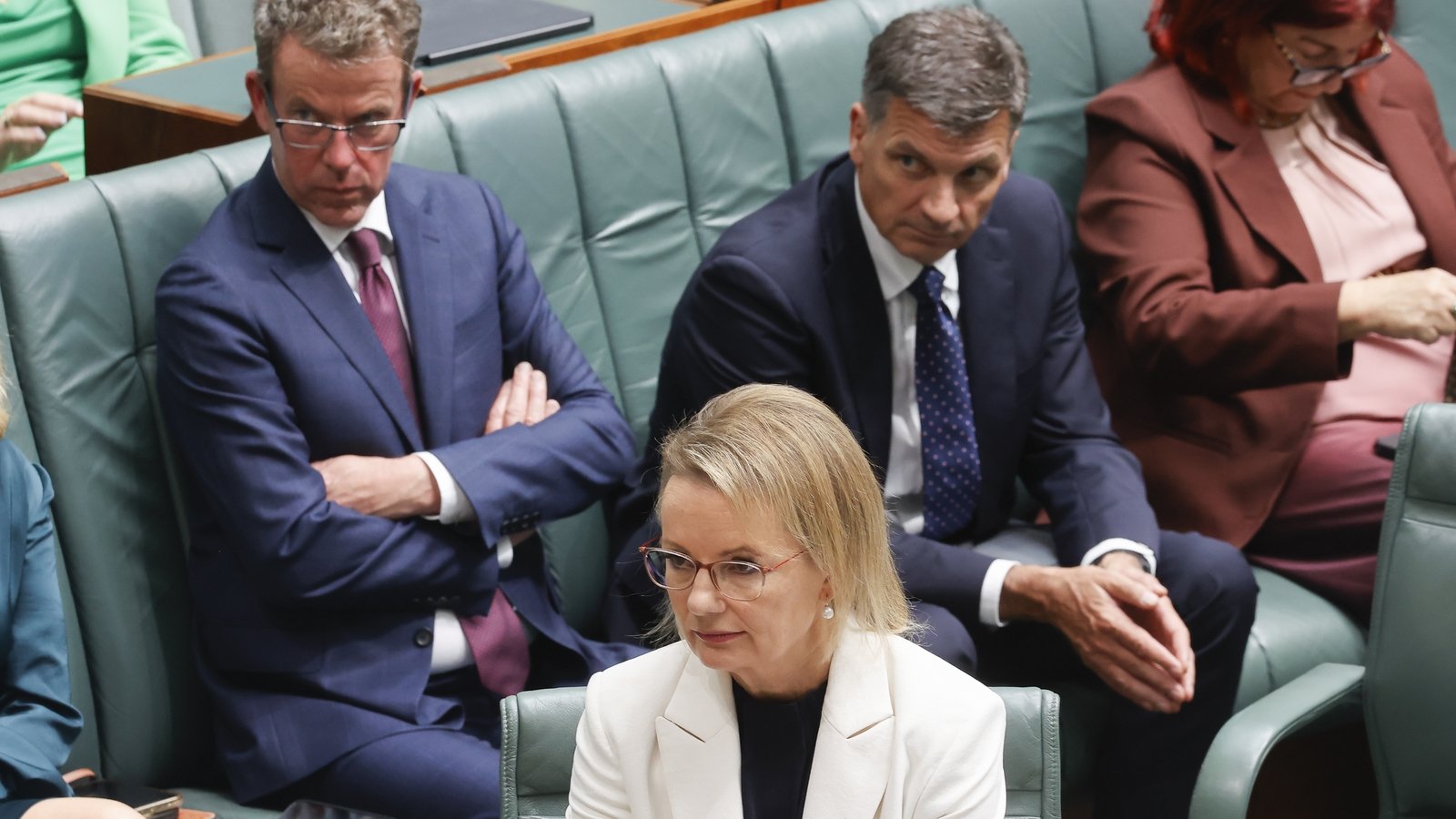 Australia's Liberals elect net zero opponent as leader