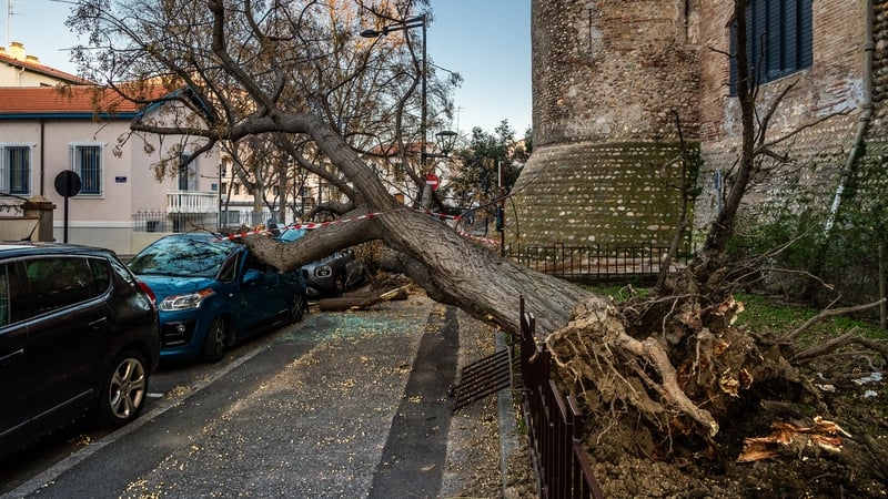A car is destroyed after a tree fell on it during Storm Nils in the south of France