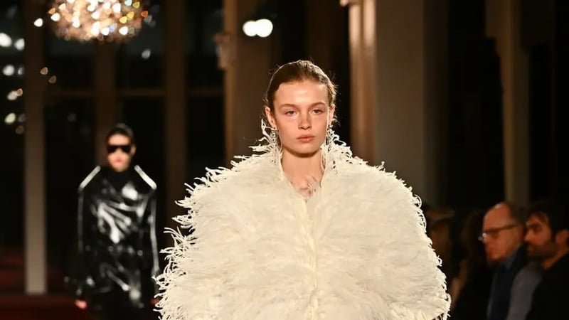 Feathers are looking like the next big trend for autumn/winter 2026