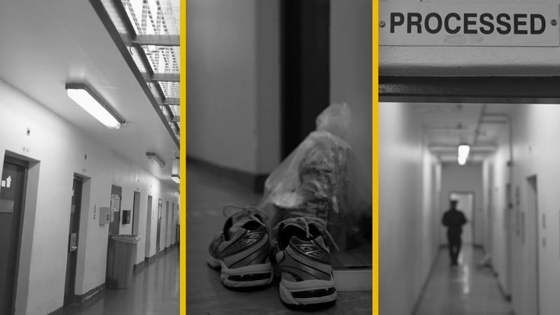 Investigates Long Read Header Image