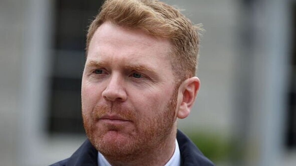 Social Democrats to bring energy cost-reduction motion to Dáil