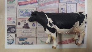 Cork Butter Museum show image