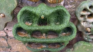 Mooney Goes Wild Monday February 16th 2026 show image