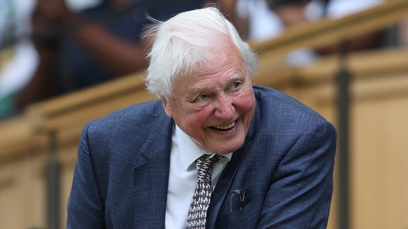 David Attenborough receives a good reception when entering the Royal Box during day one of The Championships Wimbledon 2024 at All England Lawn Tennis and Croquet Club on 1 July, 2024 in London