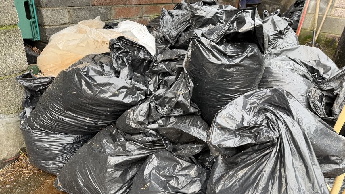 Increase in horse manure dumping in Liberties area of Dublin