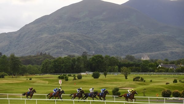17 July 2019; Runners and riders in action during the Rentokil Initial Handicap during day 3 of the Killarney Racing Festival at Killarney Racecourse in Kerry. Photo by David Fitzgerald/Sportsfile
