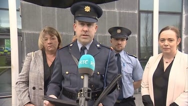 Gardaí praise 'remarkable strength' of assault victim