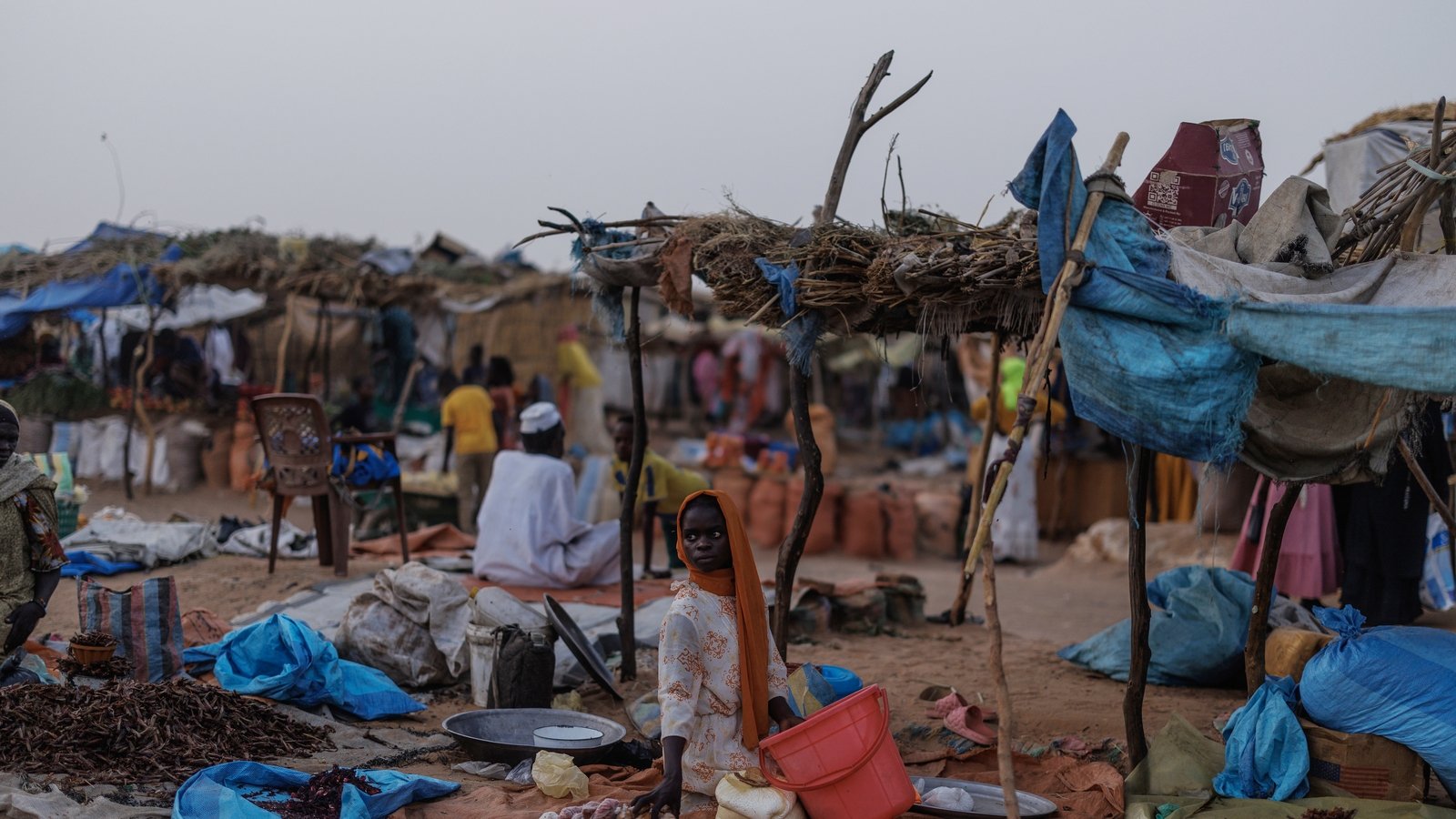 Sudan probe finds 'hallmarks of genocide' in El-Fasher