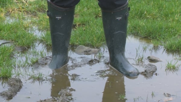 wellies in a puddle in a field