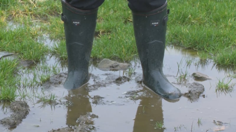 wellies in a puddle in a field