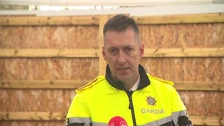 'Ireland is a safe country', Garda Commissioner says after Temple Bar assault