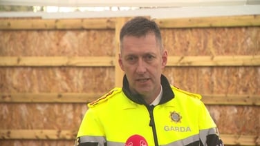 'Ireland is a safe country', Garda Commissioner says after Temple Bar assault