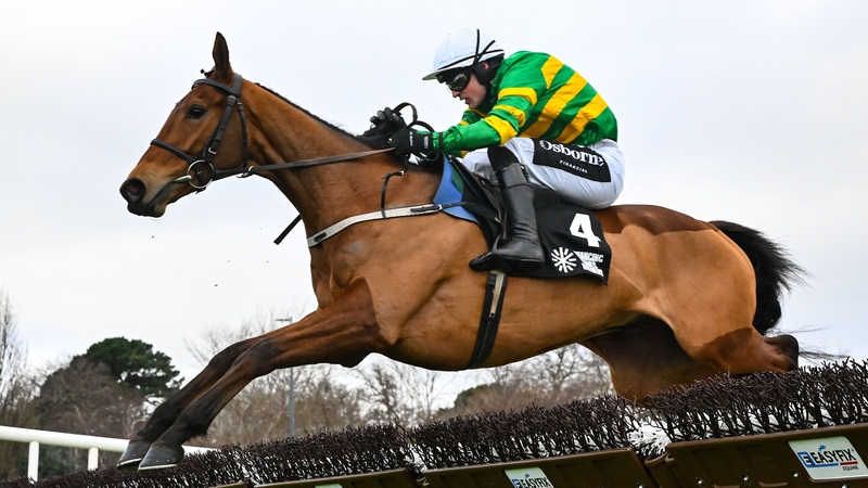 Narciso Has, with Danny Mullins up, jumps the last on their way to winning the Changing Times Brewery Juvenile Hurdle at Leopardstown, Christmas 2025