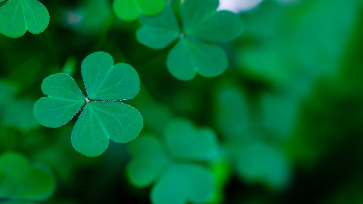 Naomh Pádraig - Caint & Seanchas