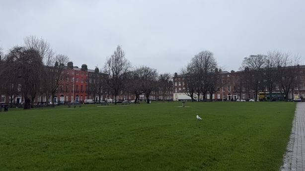 View of a grassy area of the park