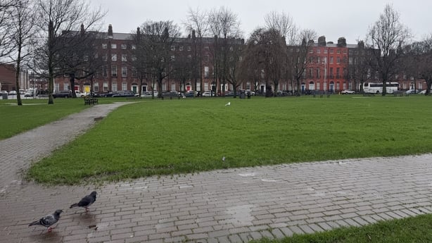 View of a pathway in the park