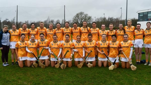 Antrim camogie team lined up for a team picture