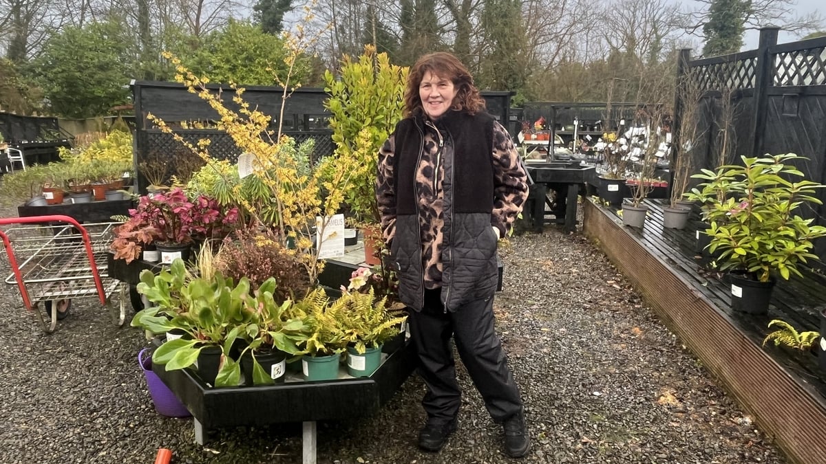 Spring is on the way