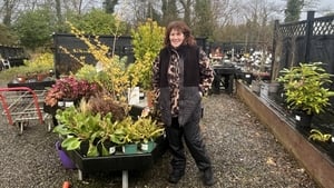 Spring is on the way show image