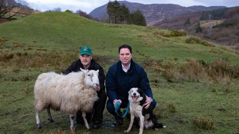 (L - R) Patsy Boyle farmer and Minister for Agriculture Martin Heydon pose with a sheep and a sheep dog