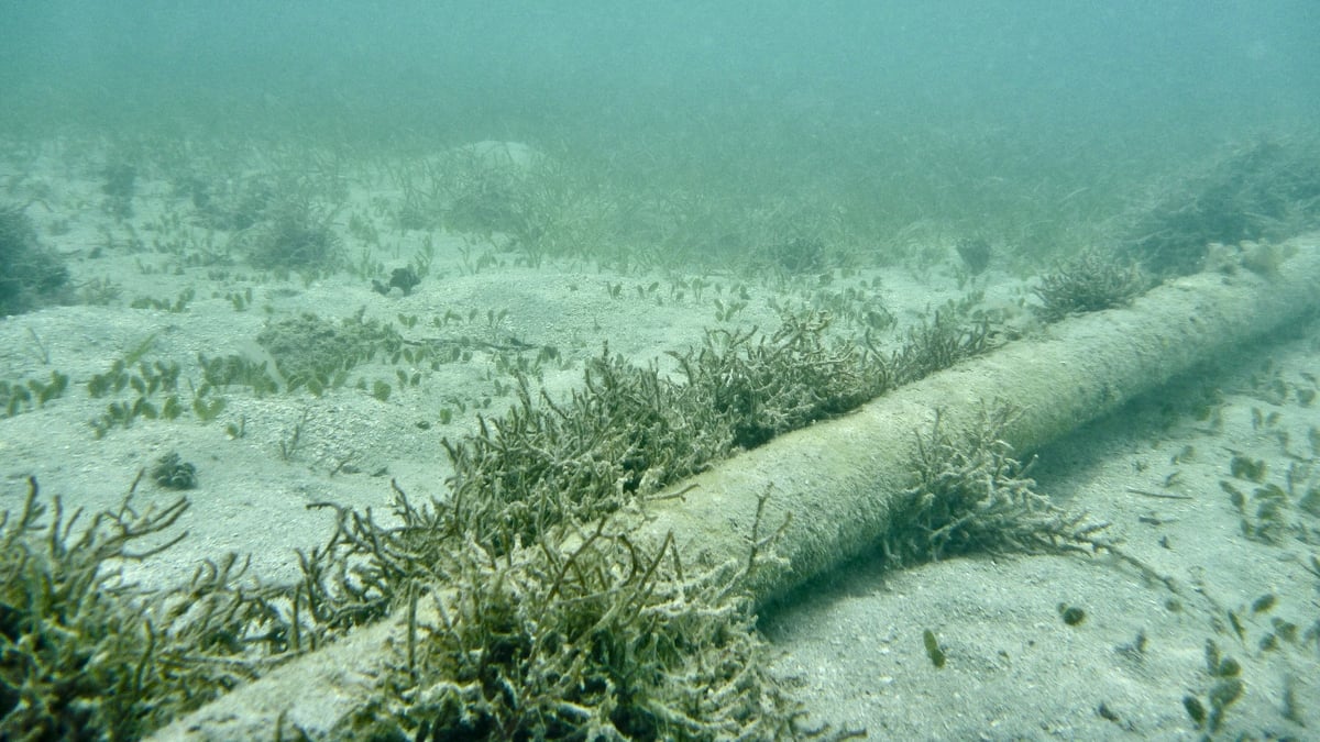 Why is the National Maritime Security Strategy important?  