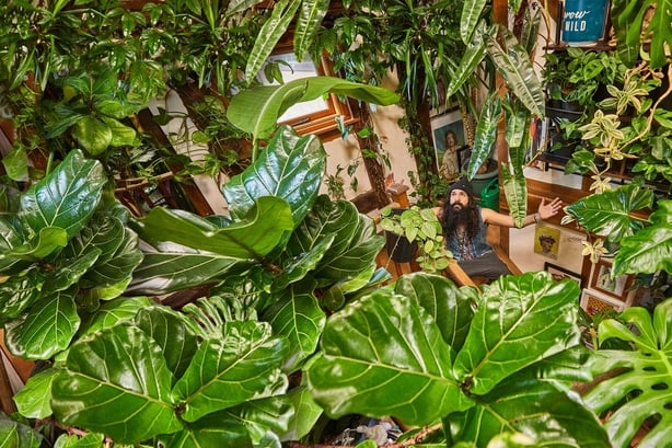 A man sitting in a room filled with plants