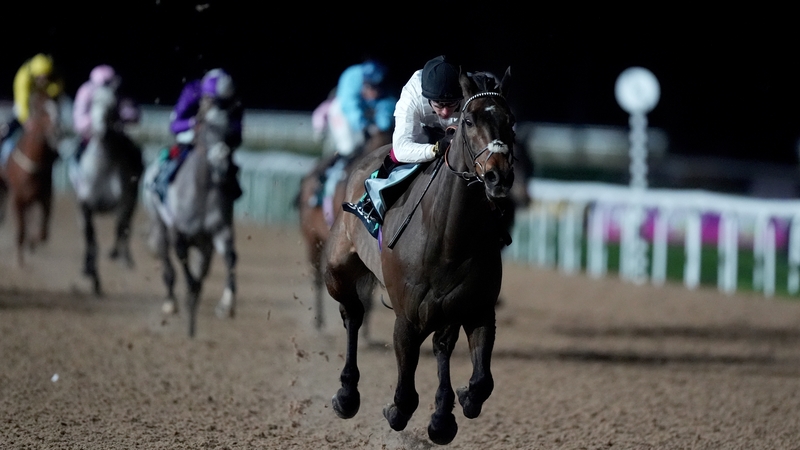 Constitution Hill ridden by Oisin Murphy on their way to winning the the SBK Road To Cheltenham Novice Stakes at Southwell
