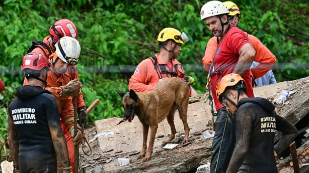 Brazil dog searching for survivors after landslides