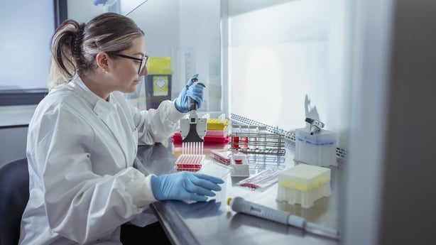 Scientist pipetting bacterial solution in laboratory